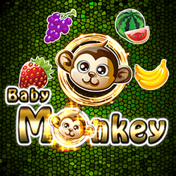 Baby Monkey