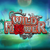 Wild Flower