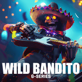 Wild Bandito
