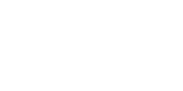 Fastspin